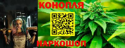 крисы Мариинск