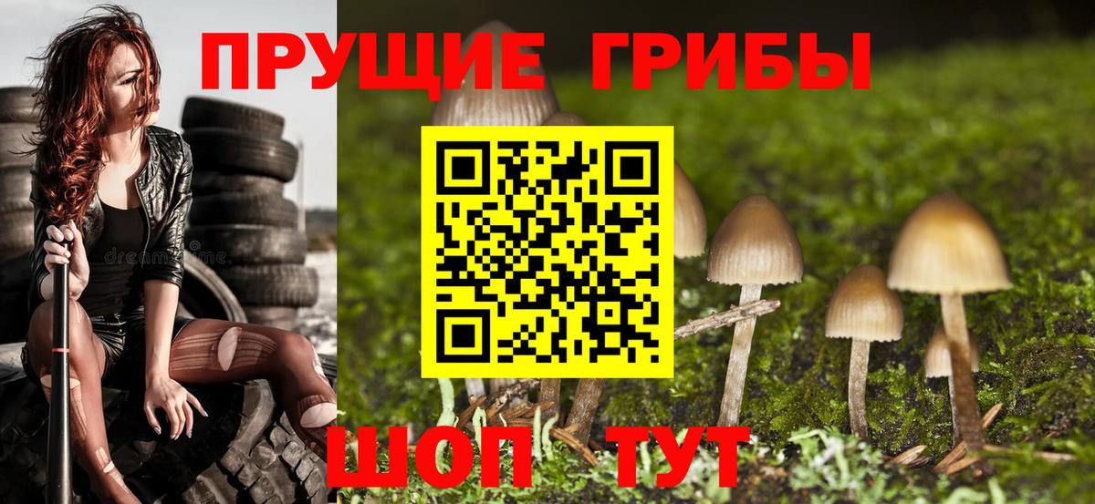 Псилоцибиновые грибы MAGIC MUSHROOMS Среднеуральск